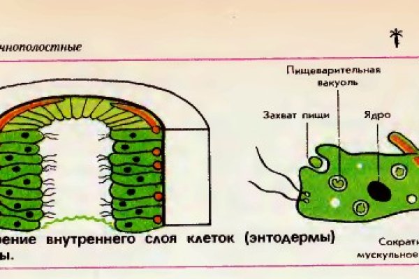 Блэк спрут и другие площадки