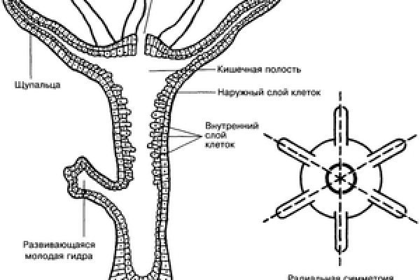 Тор браузер blacksprut