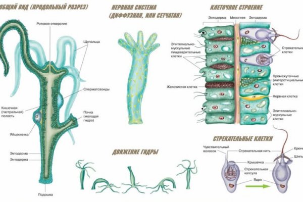 Блэкспрут актуальная ссылка bs2onion org